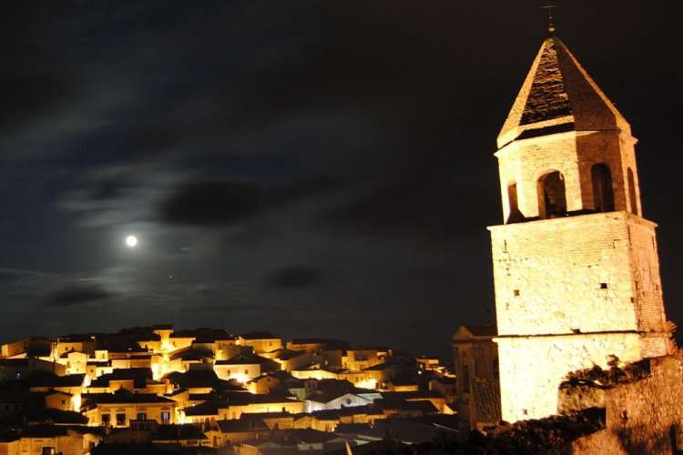 Bovino